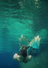 Charmed-Online-dot-nl-TheLittleMermaid4830.jpg