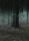 Bestandsnaam=Charmed-Online-dot-nl_TheRisingHawk0552.jpg
Bestandsgrootte=768KiB
Afmetingen = 1904x784
Datum toegevoegd = okt 13, 2020 Charmed-Online-dot-nl_TheRisingHawk0552.jpg
