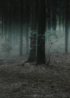Charmed-Online-dot-nl_TheRisingHawk0553.jpg