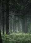 Charmed-Online-dot-nl_TheRisingHawk0556.jpg
