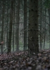 Bestandsnaam=Charmed-Online-dot-nl_TheRisingHawk0592.jpg
Bestandsgrootte=834KiB
Afmetingen = 1904x784
Datum toegevoegd = okt 13, 2020 Charmed-Online-dot-nl_TheRisingHawk0592.jpg