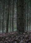 Charmed-Online-dot-nl_TheRisingHawk0593.jpg