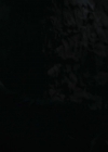 Charmed-Online-dot-nl_TheRisingHawk0718.jpg