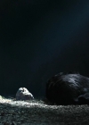 Bestandsnaam=Charmed-Online-dot-nl_TheRisingHawk0803.jpg
Bestandsgrootte=570KiB
Afmetingen = 1904x784
Datum toegevoegd = okt 13, 2020 Charmed-Online-dot-nl_TheRisingHawk0803.jpg