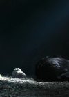 Bestandsnaam=Charmed-Online-dot-nl_TheRisingHawk0804.jpg
Bestandsgrootte=583KiB
Afmetingen = 1904x784
Datum toegevoegd = okt 13, 2020 Charmed-Online-dot-nl_TheRisingHawk0804.jpg