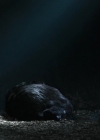 Bestandsnaam=Charmed-Online-dot-nl_TheRisingHawk0810.jpg
Bestandsgrootte=612KiB
Afmetingen = 1904x784
Datum toegevoegd = okt 13, 2020 Charmed-Online-dot-nl_TheRisingHawk0810.jpg