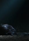 Charmed-Online-dot-nl_TheRisingHawk0813.jpg