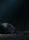Charmed-Online-dot-nl_TheRisingHawk0817.jpg