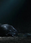 Charmed-Online-dot-nl_TheRisingHawk0822.jpg