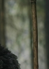 Charmed-Online-dot-nl_TheRisingHawk0914.jpg