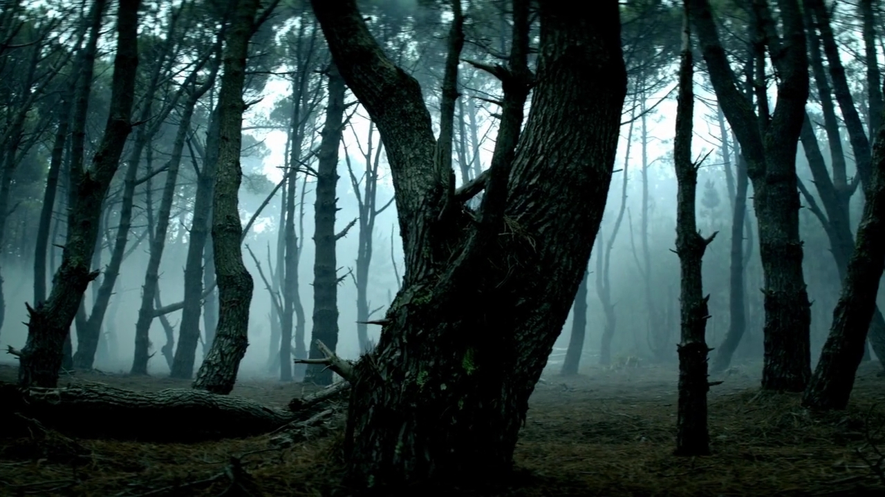 Charmed-Online-dot-nl-TheShannaraChronicles1x02-1122.jpg