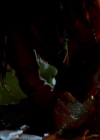 Bestandsnaam=Charmed-Online-dot-nl-TheShannaraChronicles1x02-0373.jpg
Bestandsgrootte=320KiB
Afmetingen = 1280x720
Datum toegevoegd = mrt 23, 2020 Charmed-Online-dot-nl-TheShannaraChronicles1x02-0373.jpg