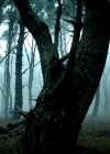 Charmed-Online-dot-nl-TheShannaraChronicles1x02-1122.jpg