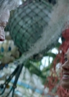 Bestandsnaam=Charmed-Online-dot-nl-TheShannaraChronicles1x02-1428.jpg
Bestandsgrootte=493KiB
Afmetingen = 1280x720
Datum toegevoegd = mrt 23, 2020 Charmed-Online-dot-nl-TheShannaraChronicles1x02-1428.jpg