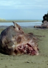 Charmed-Online-dot-nl-TheShannaraChronicles1x03-0041.jpg