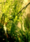 Bestandsnaam=Charmed-Online-dot-nl-TheShannaraChronicles1x03-0639.jpg
Bestandsgrootte=581KiB
Afmetingen = 1280x720
Datum toegevoegd = mrt 23, 2020 Charmed-Online-dot-nl-TheShannaraChronicles1x03-0639.jpg