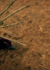 Charmed-Online-dot-nl-TheShannaraChronicles1x05-1242.jpg
