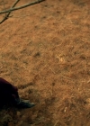 Charmed-Online-dot-nl-TheShannaraChronicles1x05-1244.jpg