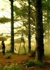 Charmed-Online-dot-nl-TheShannaraChronicles1x06-0082.jpg