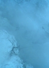 Charmed-Online-dot-nl-TheShannaraChronicles1x06-2364.jpg