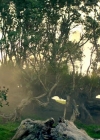 Charmed-Online-dot-nl-TheShannaraChronicles1x07-2316.jpg