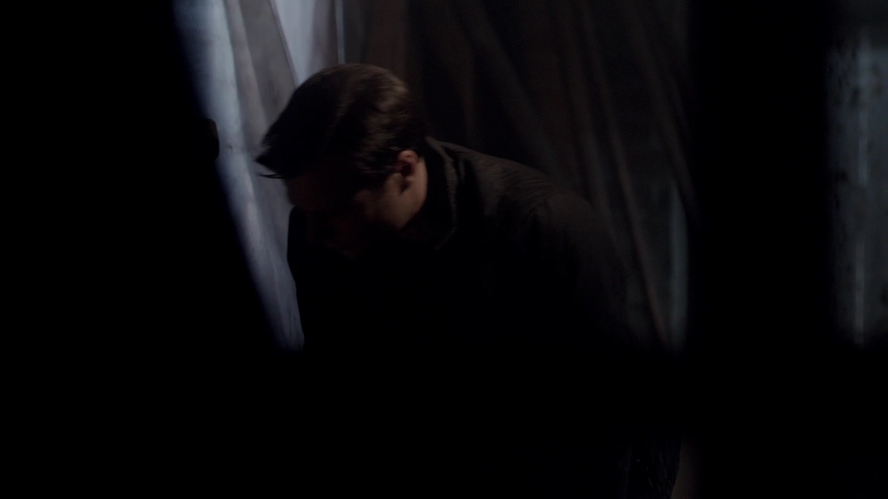 VampireDiariCharmed-Online-dot-nl_Rogue2x02-01992.jpg