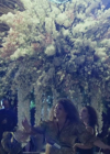 Charmed-Online-dot-nl_TheBigLeap1x03-1429.jpg