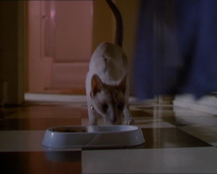 Charmed-Online_dot_net-1x01SomethingWiccaThisWayComes0021.jpg Charmed-Online_dot_net-1x01SomethingWiccaThisWayComes0021.jpg