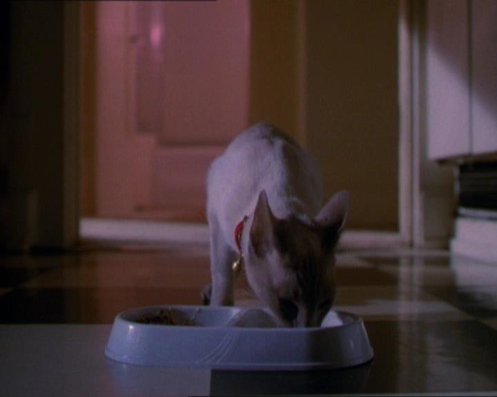 Charmed-Online_dot_net-1x01SomethingWiccaThisWayComes0069.jpg