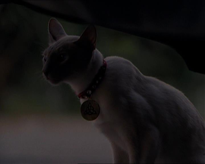 Charmed-Online_dot_net-1x01SomethingWiccaThisWayComes1470.jpg Charmed-Online_dot_net-1x01SomethingWiccaThisWayComes1470.jpg