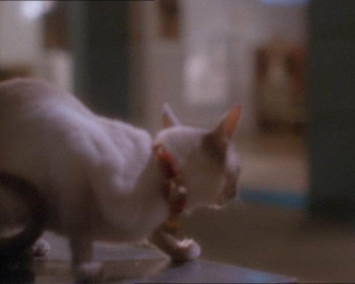 Charmed-Online_dot_net-1x01SomethingWiccaThisWayComes1710.jpg Charmed-Online_dot_net-1x01SomethingWiccaThisWayComes1710.jpg