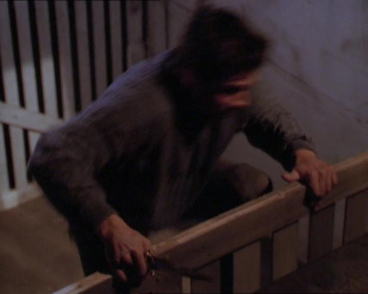 Charmed-Online_dot_net-1x01SomethingWiccaThisWayComes2013.jpg Charmed-Online_dot_net-1x01SomethingWiccaThisWayComes2013.jpg