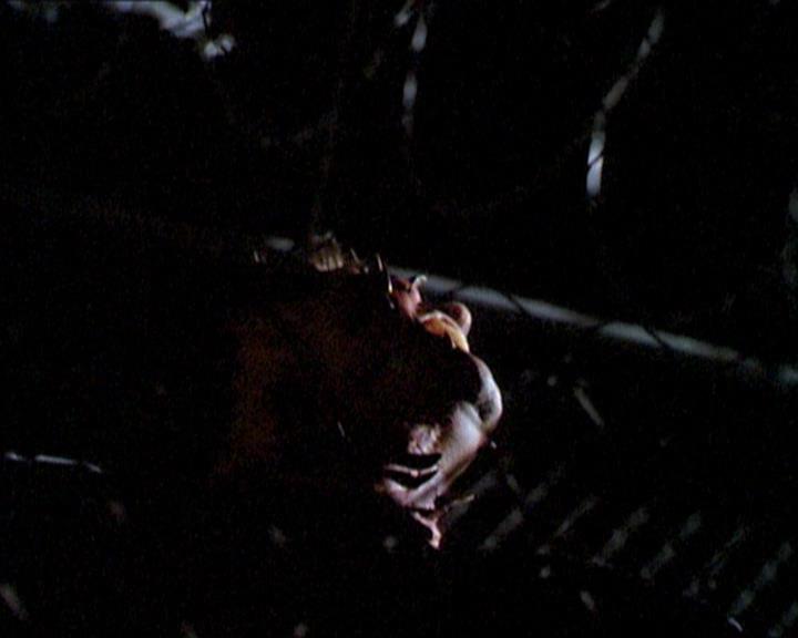 Charmed-Online_dot_net-1x01SomethingWiccaThisWayComes2091.jpg Charmed-Online_dot_net-1x01SomethingWiccaThisWayComes2091.jpg