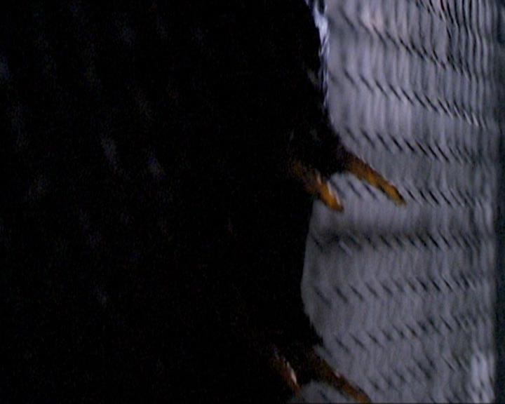 Charmed-Online_dot_net-1x01SomethingWiccaThisWayComes2095.jpg Charmed-Online_dot_net-1x01SomethingWiccaThisWayComes2095.jpg