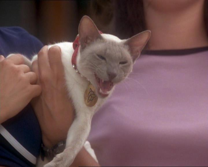 Charmed-Online_dot_net-1x01SomethingWiccaThisWayComes2321.jpg Charmed-Online_dot_net-1x01SomethingWiccaThisWayComes2321.jpg