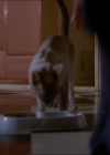 Charmed-Online_dot_net-1x01SomethingWiccaThisWayComes0020.jpg