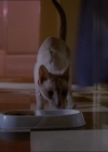 Charmed-Online_dot_net-1x01SomethingWiccaThisWayComes0021.jpg