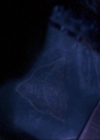 Charmed-Online_dot_net-1x01SomethingWiccaThisWayComes0880.jpg