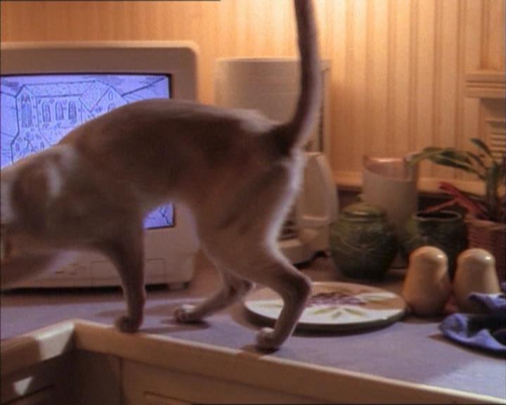 Charmed-Online_dot_net-1x02IveGotYouUnderMySkin0270.jpg Charmed-Online_dot_net-1x02IveGotYouUnderMySkin0270.jpg