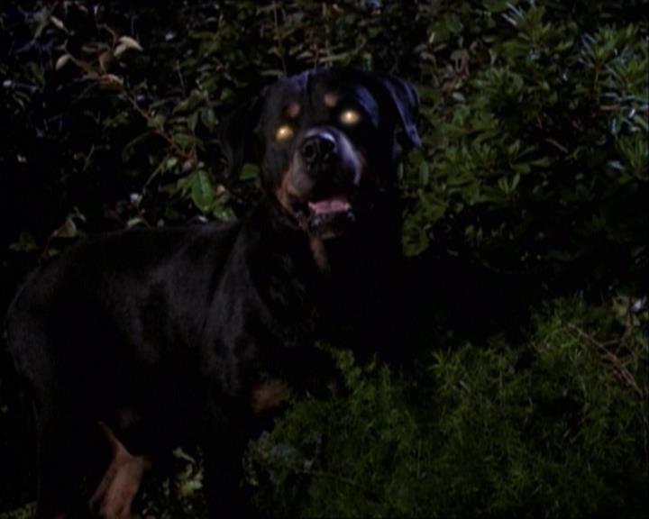 Charmed-Online_dot_net-1x03ThankYouForNotMorphing0033.jpg Charmed-Online_dot_net-1x03ThankYouForNotMorphing0033.jpg