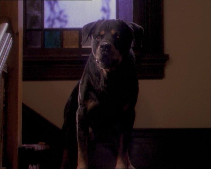 Charmed-Online_dot_net-1x03ThankYouForNotMorphing0215.jpg Charmed-Online_dot_net-1x03ThankYouForNotMorphing0215.jpg