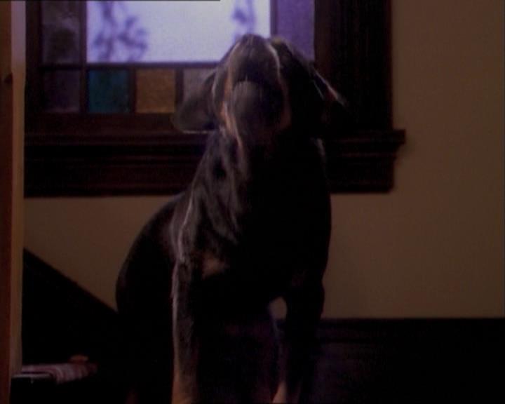 Charmed-Online_dot_net-1x03ThankYouForNotMorphing0216.jpg Charmed-Online_dot_net-1x03ThankYouForNotMorphing0216.jpg