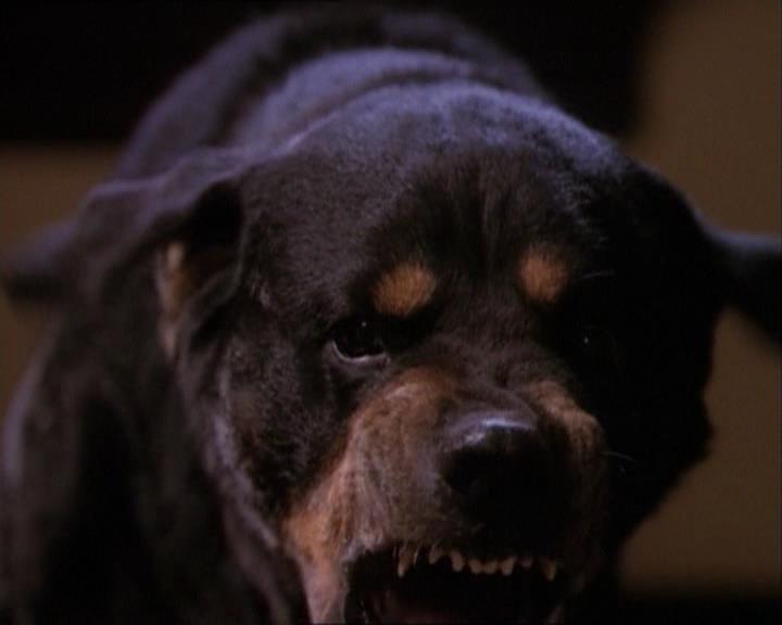 Charmed-Online_dot_net-1x03ThankYouForNotMorphing0223.jpg Charmed-Online_dot_net-1x03ThankYouForNotMorphing0223.jpg