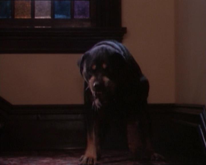 Charmed-Online_dot_net-1x03ThankYouForNotMorphing0231.jpg Charmed-Online_dot_net-1x03ThankYouForNotMorphing0231.jpg