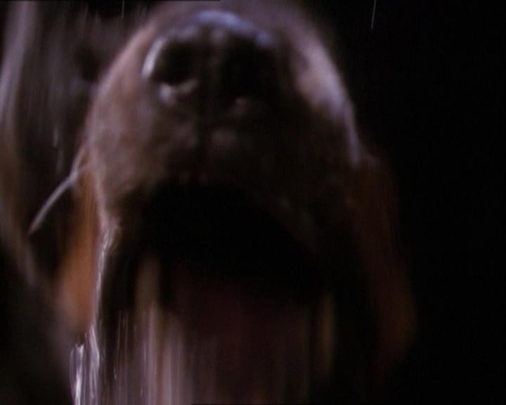 Charmed-Online_dot_net-1x03ThankYouForNotMorphing0235.jpg Charmed-Online_dot_net-1x03ThankYouForNotMorphing0235.jpg