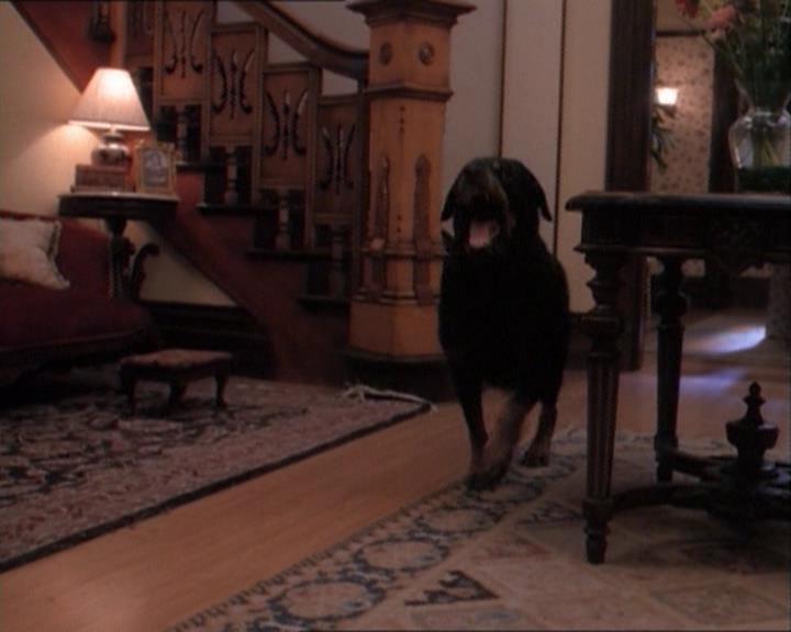 Charmed-Online_dot_net-1x03ThankYouForNotMorphing0241.jpg Charmed-Online_dot_net-1x03ThankYouForNotMorphing0241.jpg