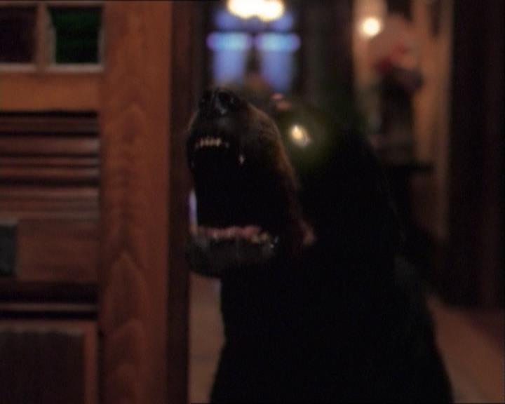 Charmed-Online_dot_net-1x03ThankYouForNotMorphing0255.jpg Charmed-Online_dot_net-1x03ThankYouForNotMorphing0255.jpg