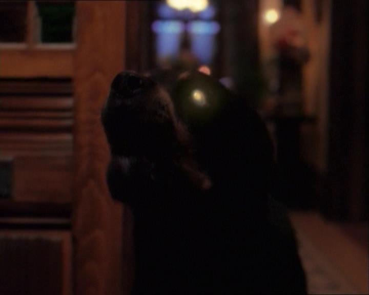 Charmed-Online_dot_net-1x03ThankYouForNotMorphing0256.jpg Charmed-Online_dot_net-1x03ThankYouForNotMorphing0256.jpg