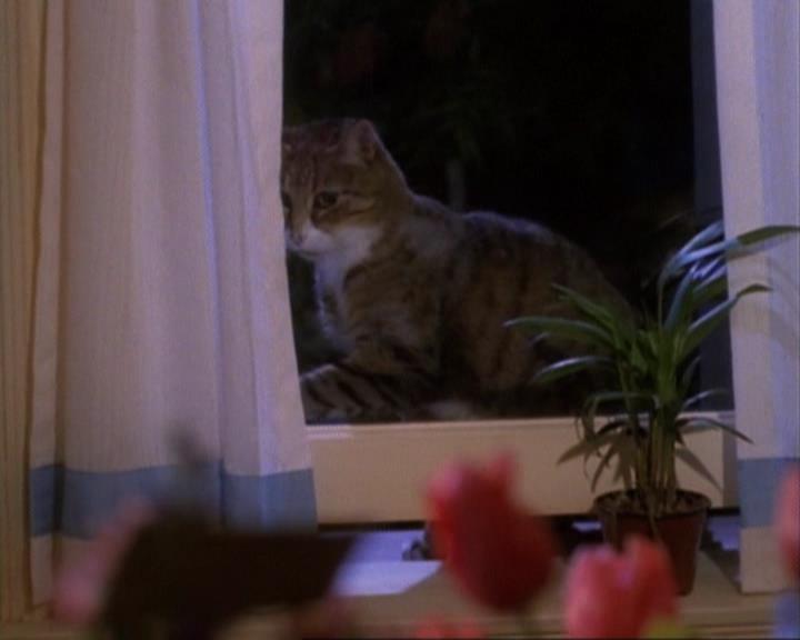 Charmed-Online-dot-net_105DreamSorcerer1775.jpg Charmed-Online-dot-net_105DreamSorcerer1775.jpg