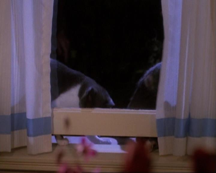 Charmed-Online-dot-net_105DreamSorcerer1779.jpg Charmed-Online-dot-net_105DreamSorcerer1779.jpg